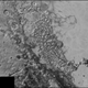 Image for article titled The Frozen Wastes of Pluto are Eerily Familiar